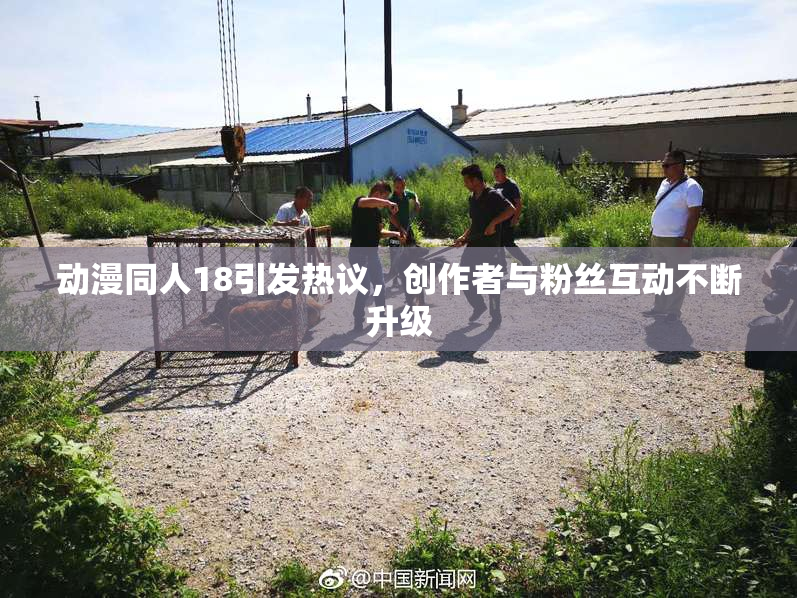动漫同人18引发热议，创作者与粉丝互动不断升级