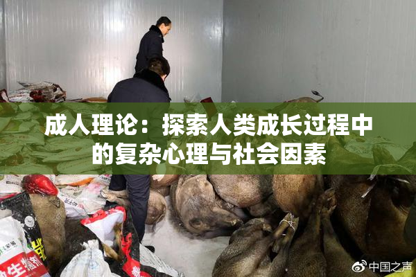 成人理论：探索人类成长过程中的复杂心理与社会因素