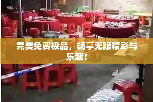 完美免费极品，畅享无限精彩与乐趣！