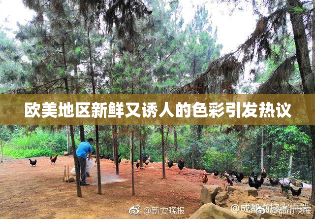 欧美地区新鲜又诱人的色彩引发热议