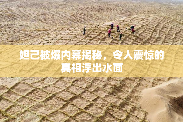 妲己被爆内幕揭秘，令人震惊的真相浮出水面