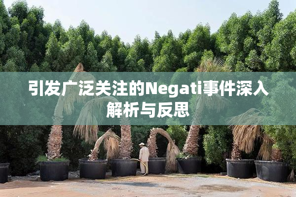 引发广泛关注的Negati事件深入解析与反思