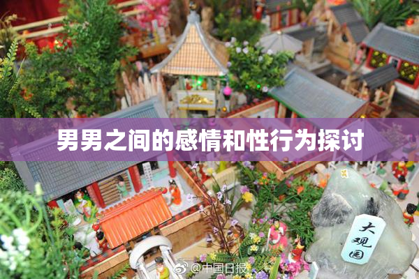 男男之间的感情和性行为探讨