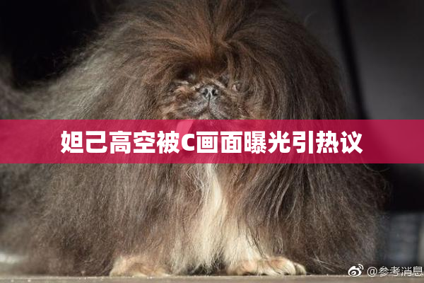 妲己高空被C画面曝光引热议
