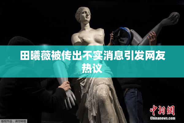 田曦薇被传出不实消息引发网友热议