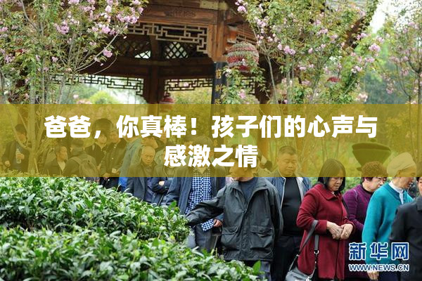 爸爸，你真棒！孩子们的心声与感激之情
