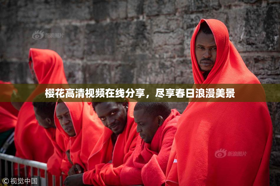 樱花高清视频在线分享，尽享春日浪漫美景