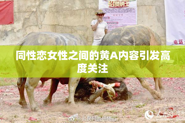 同性恋女性之间的黄A内容引发高度关注
