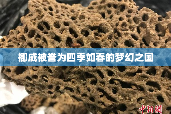 挪威被誉为四季如春的梦幻之国