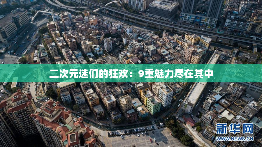 二次元迷们的狂欢：9重魅力尽在其中