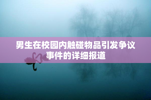 男生在校园内触碰物品引发争议事件的详细报道