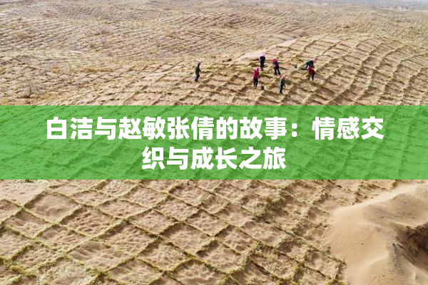 白洁与赵敏张倩的故事：情感交织与成长之旅