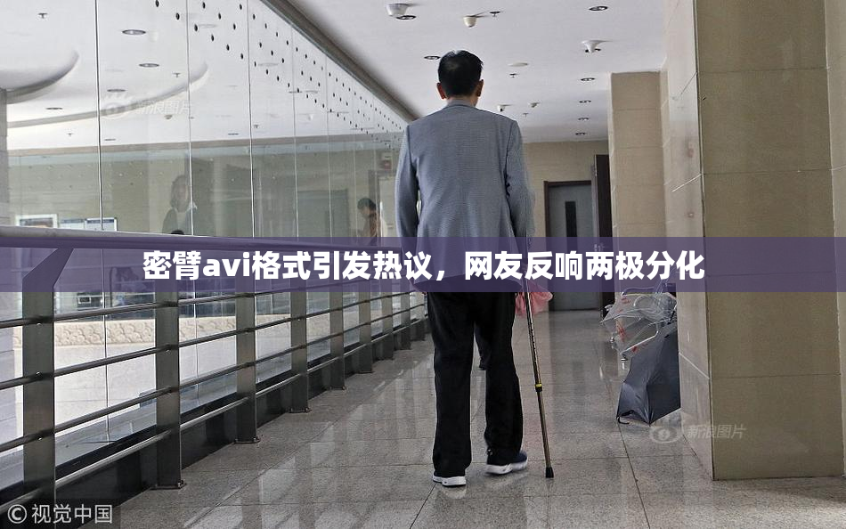 密臂avi格式引发热议，网友反响两极分化