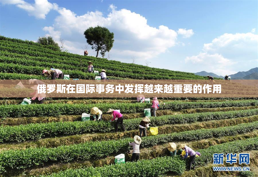 俄罗斯在国际事务中发挥越来越重要的作用