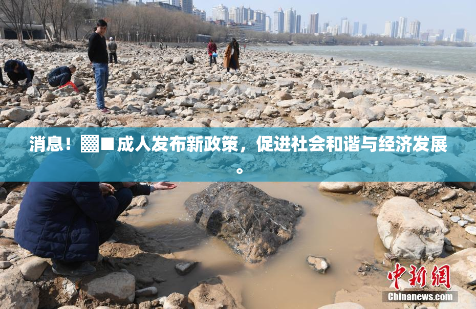 消息！▓■成人发布新政策，促进社会和谐与经济发展。