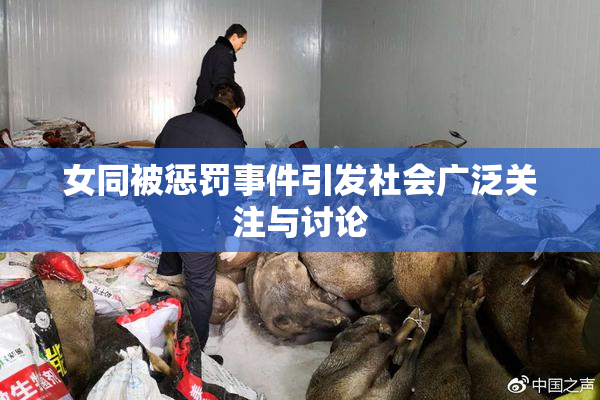 女同被惩罚事件引发社会广泛关注与讨论