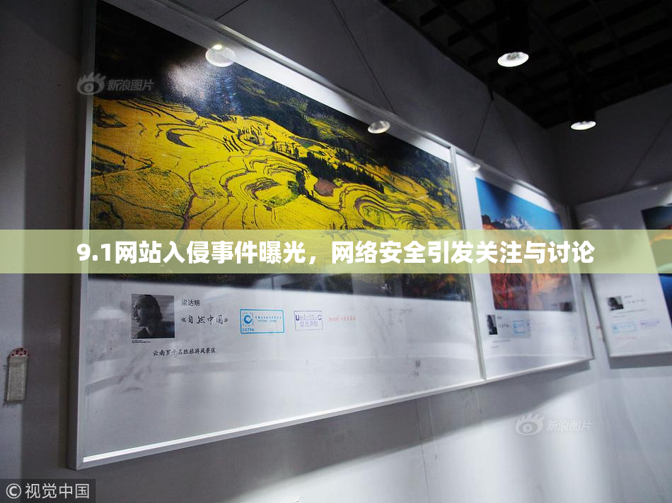 9.1网站入侵事件曝光，网络安全引发关注与讨论
