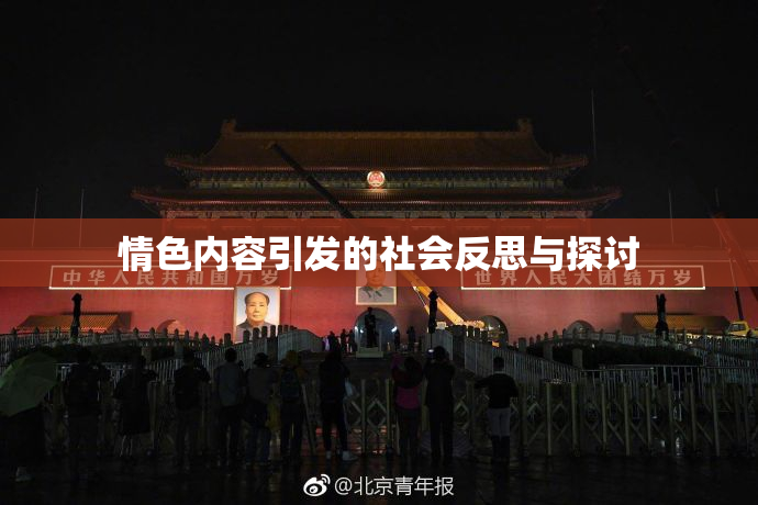 情色内容引发的社会反思与探讨