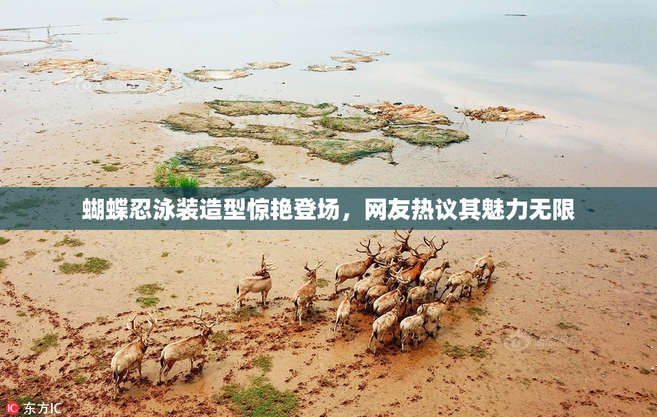 蝴蝶忍泳装造型惊艳登场，网友热议其魅力无限