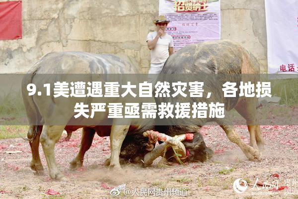 9.1美遭遇重大自然灾害，各地损失严重亟需救援措施
