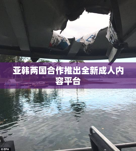 亚韩两国合作推出全新成人内容平台