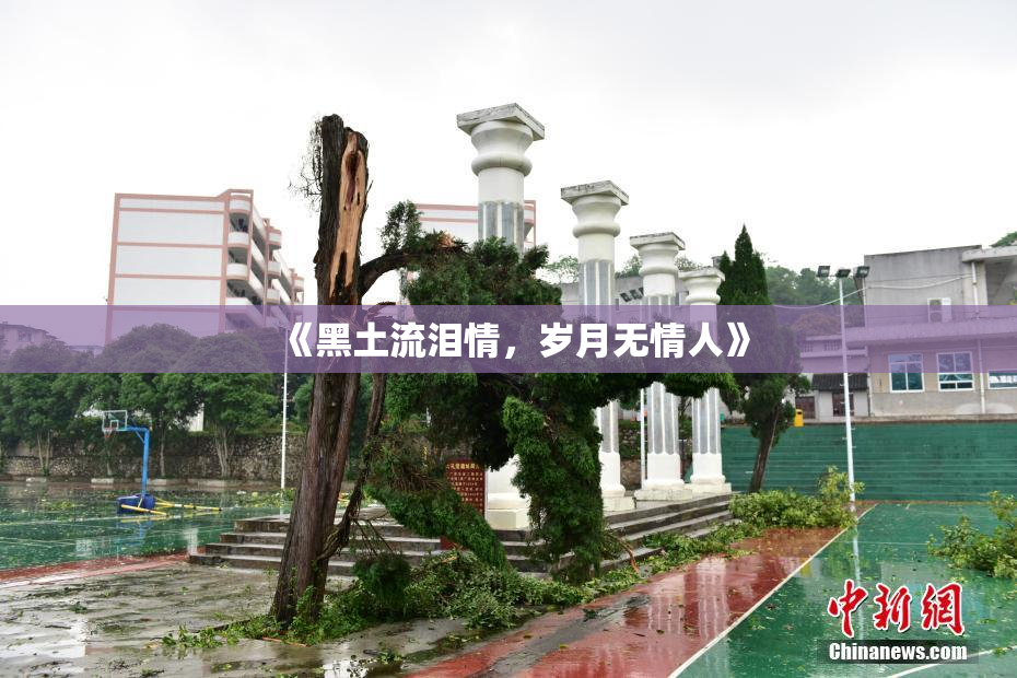 《黑土流泪情，岁月无情人》