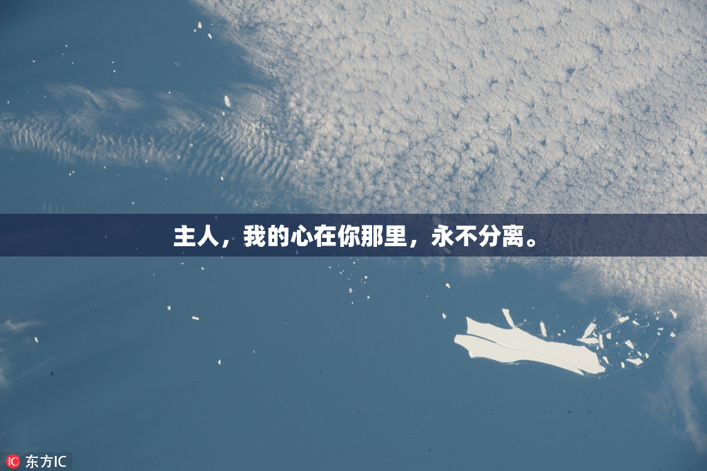 主人，我的心在你那里，永不分离。
