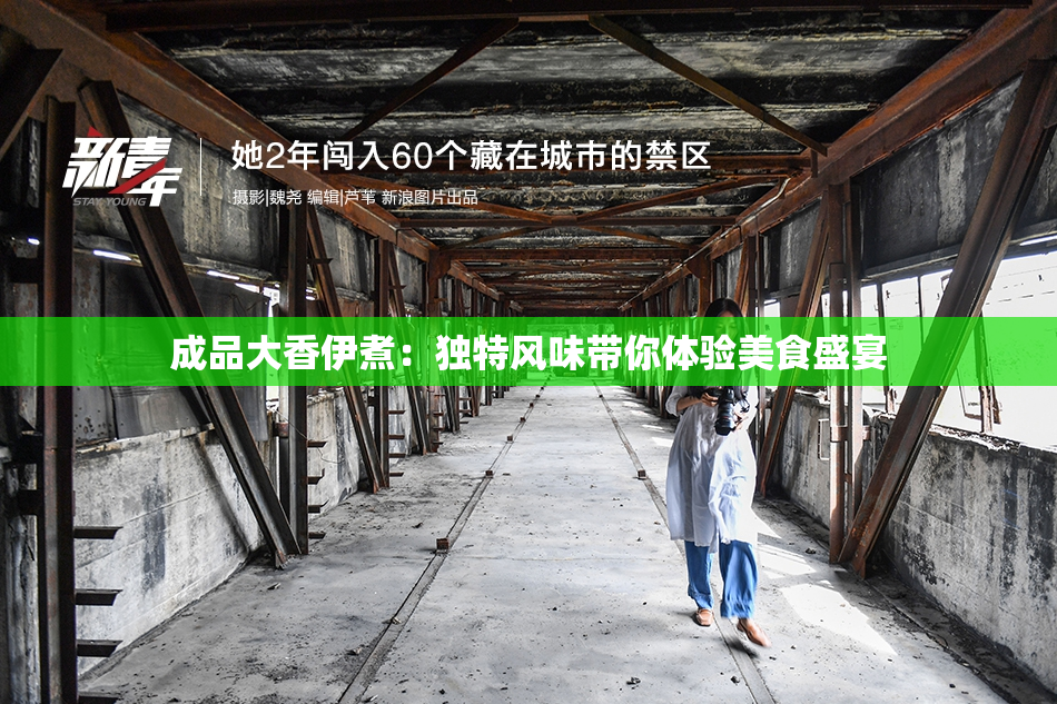 成品大香伊煮：独特风味带你体验美食盛宴