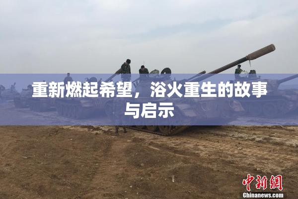 重新燃起希望，浴火重生的故事与启示
