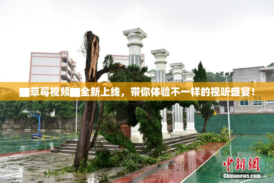 ▇草莓视频▇全新上线，带你体验不一样的视听盛宴！