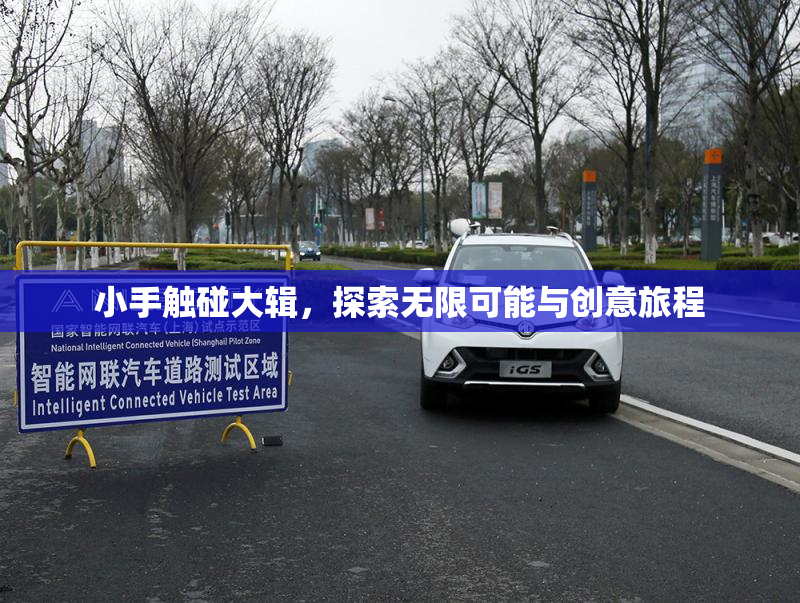 小手触碰大辑，探索无限可能与创意旅程