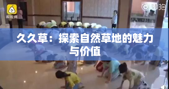 久久草：探索自然草地的魅力与价值