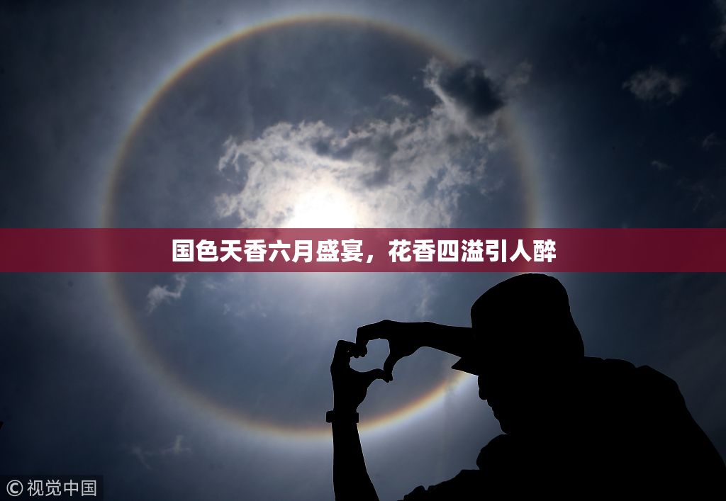 国色天香六月盛宴，花香四溢引人醉