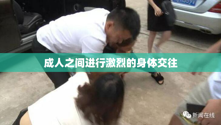 成人之间进行激烈的身体交往