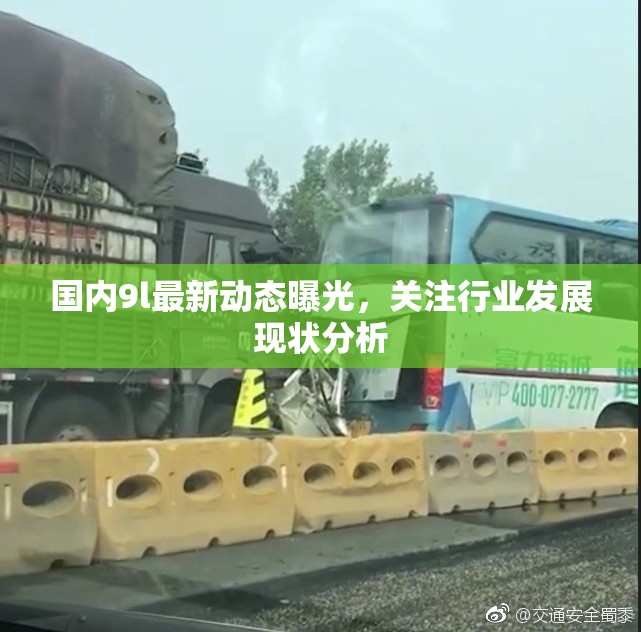 国内9l最新动态曝光，关注行业发展现状分析