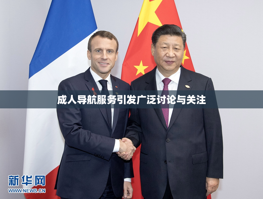 成人导航服务引发广泛讨论与关注