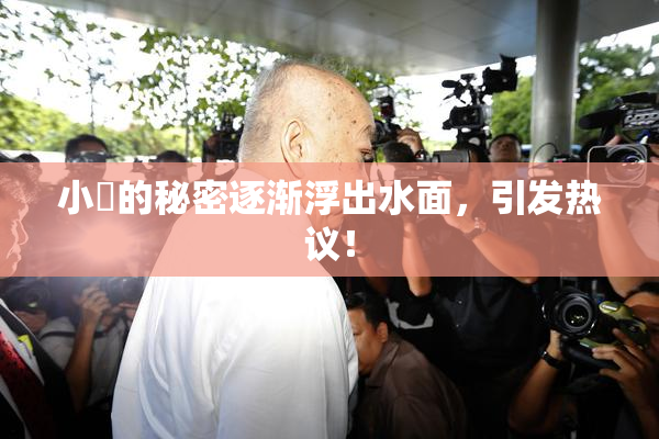 小泬的秘密逐渐浮出水面，引发热议！
