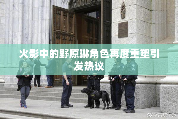 火影中的野原琳角色再度重塑引发热议