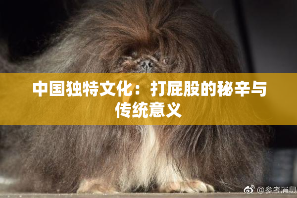 中国独特文化：打屁股的秘辛与传统意义