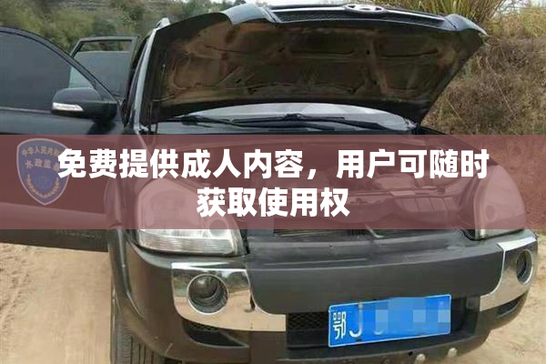 免费提供成人内容，用户可随时获取使用权