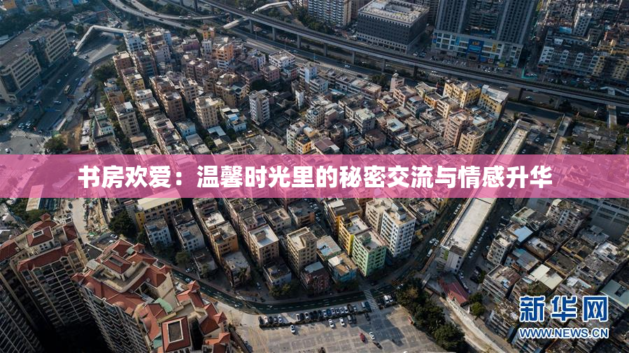 书房欢爱：温馨时光里的秘密交流与情感升华