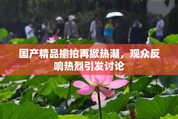 国产精品揄拍再掀热潮，观众反响热烈引发讨论