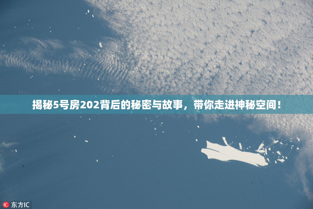 揭秘5号房202背后的秘密与故事，带你走进神秘空间！