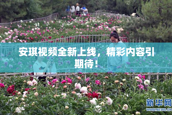 安琪视频全新上线，精彩内容引期待！