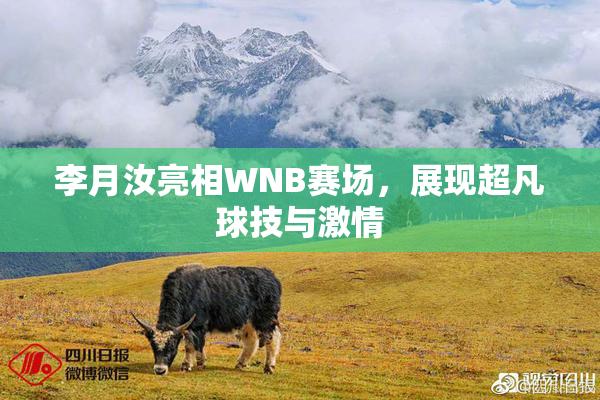 李月汝亮相WNB赛场，展现超凡球技与激情