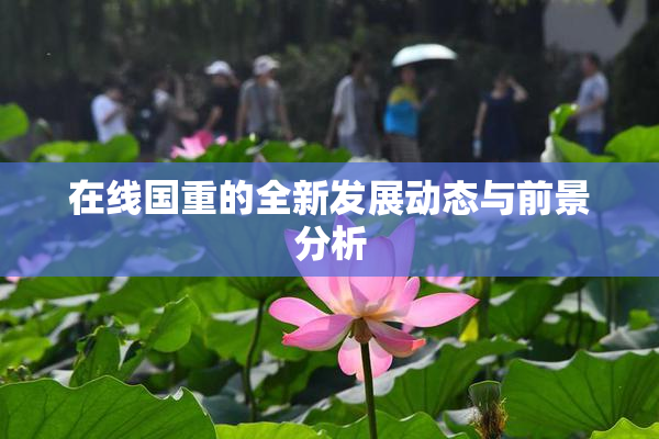 在线国重的全新发展动态与前景分析