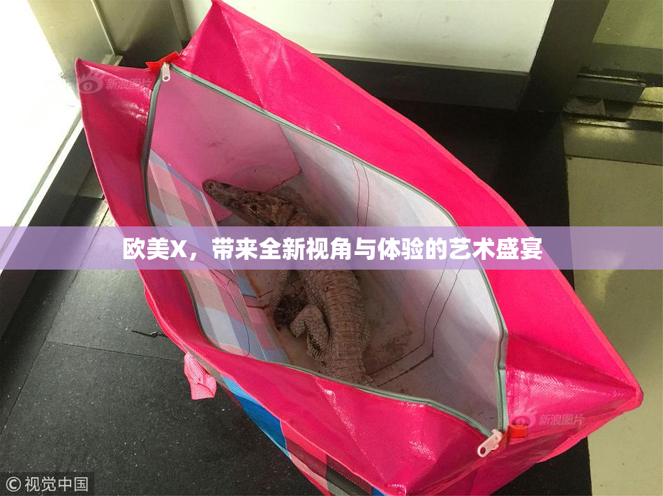 欧美X，带来全新视角与体验的艺术盛宴