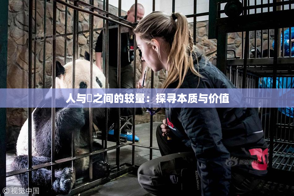 人与嘼之间的较量：探寻本质与价值