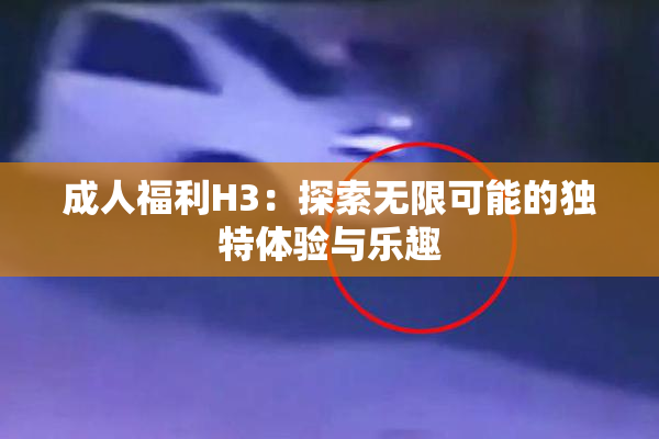 成人福利H3：探索无限可能的独特体验与乐趣