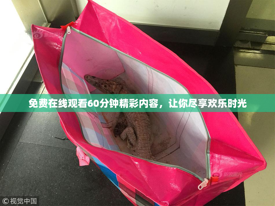 免费在线观看60分钟精彩内容，让你尽享欢乐时光